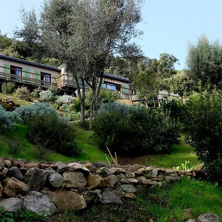 Muredda - Alcudina Casa de hóspedes