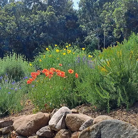 Muredda - Alcudina Casa de hóspedes 3*